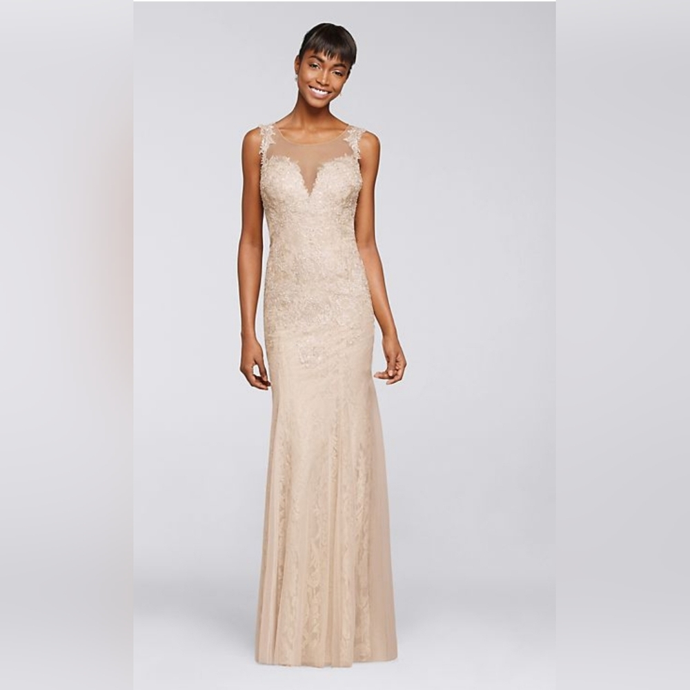 DAVIDS BRIDAL | Champagne Lace Beaded Dress - Picture 16 of 16